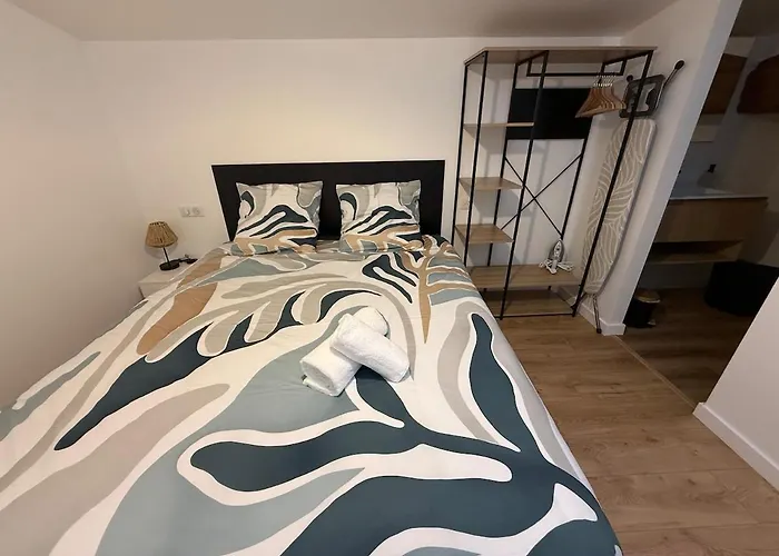 L'ô Du Chai T2 Lumineux Et Climatisé * Fronton