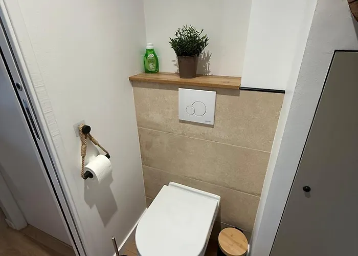 L'ô Du Chai T2 Lumineux Et Climatisé Fronton